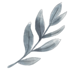 plan medios visse creatividades (28)